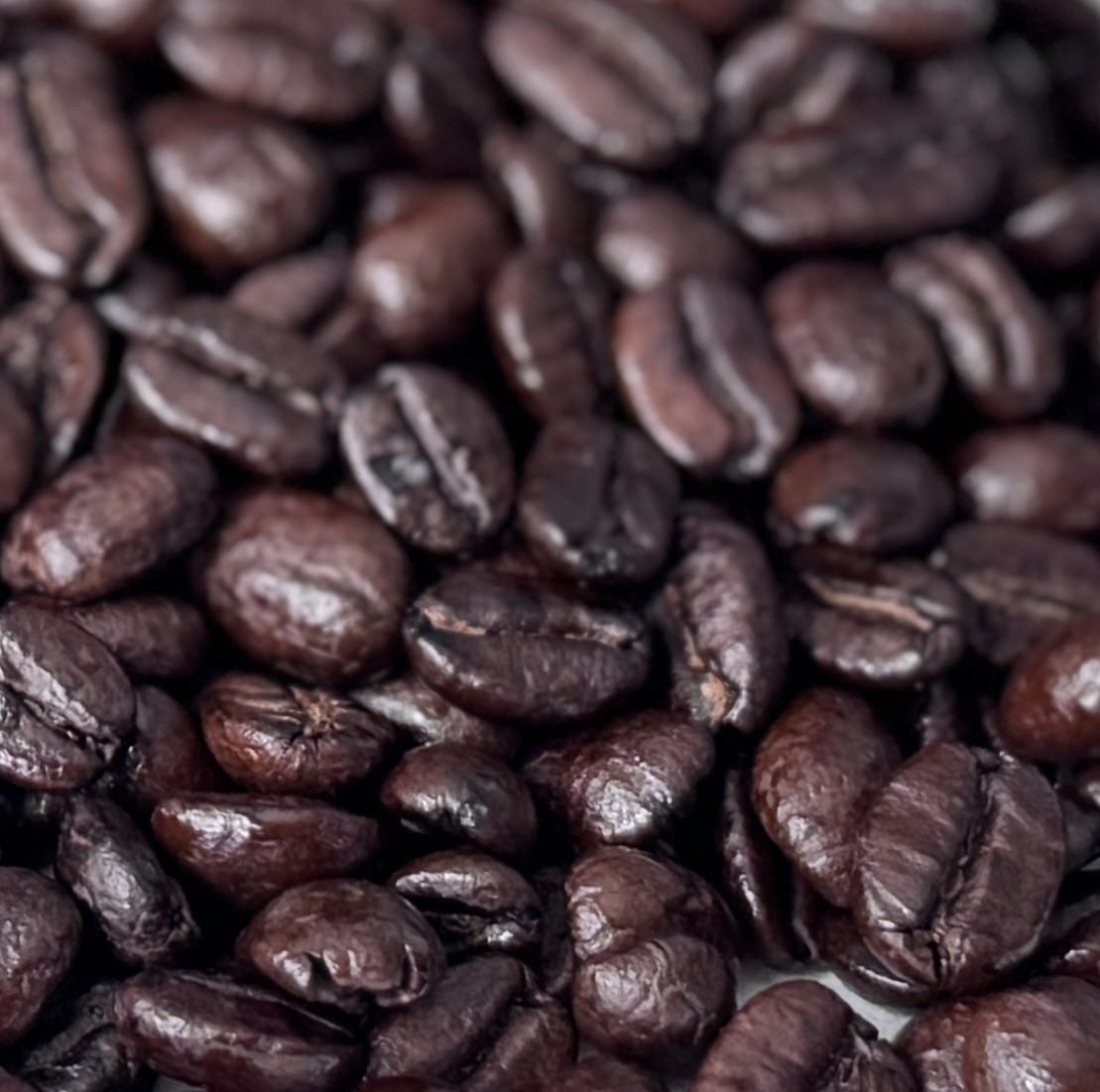 PapouasieN Papouasie Nouvelle Guinée Sigrie