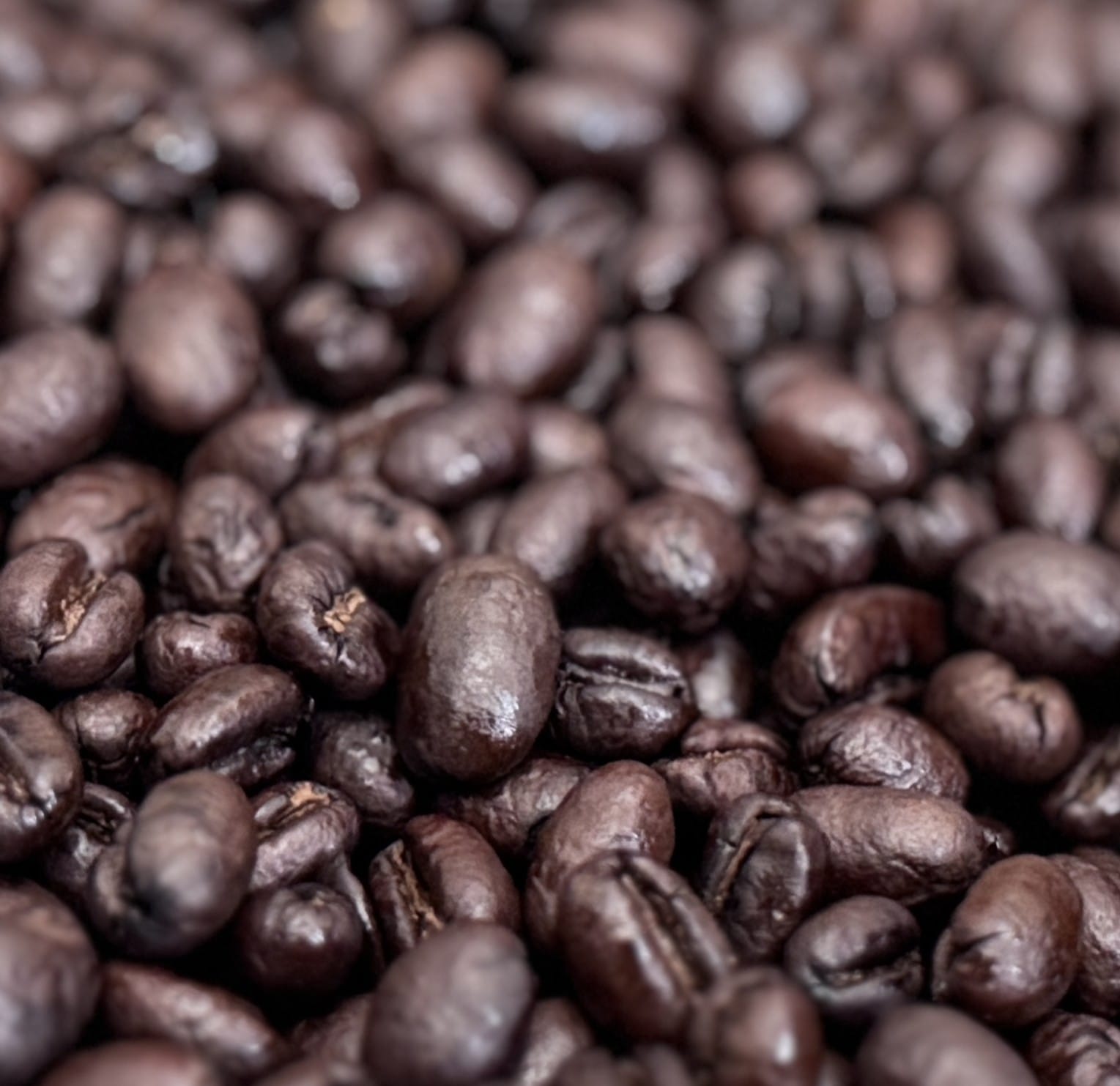 Tanzanie Peaberry Noir